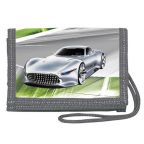 Nejv�t�� obr�zek v�robku kniha Pen�enka na krk - Fast Cars autor neuveden