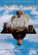 Nejv�t�� obr�zek v�robku And�l P�n� - DVD Strach Ji��