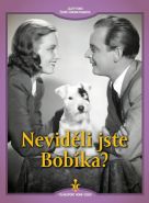 Největší obrázek výrobku Neviděli jste Bobíka? - DVD (digipack) autor neuveden Největší obrázek výrobku Neviděli jste Bobíka? - DVD (digipack) autor neuveden