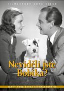 Největší obrázek výrobku Neviděli jste Bobíka? - DVD box autor neuveden Největší obrázek výrobku Neviděli jste Bobíka? - DVD box autor neuveden