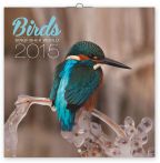 Nejv�t�� obr�zek v�robku kalend�� Kalend�� 2015 - Led���ci - n�st�nn� (GB, DE, FR, IT, ES, NL) autor neuveden