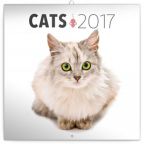 Největší obrázek výrobku kalendář Kalendář poznámkový 2017 - Kočky autor neuveden Největší obrázek výrobku kalendář Kalendář poznámkový 2017 - Kočky autor neuveden