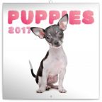 Nejv�t�� obr�zek v�robku kalend�� Kalend�� pozn�mkov� 2017 - �t��ata autor neuveden