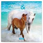 Největší obrázek výrobku kalendář Kalendář poznámkový 2017 - Koně a moře/Christiane Slawik autor neuveden Největší obrázek výrobku kalendář Kalendář poznámkový 2017 - Koně a moře/Christiane Slawik autor neuveden