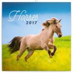 Nejv�t�� obr�zek v�robku kalend�� Kalend�� pozn�mkov� 2017 - Kon�/Christiane Slawik autor neuveden