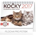 Nejv�t�� obr�zek v�robku kalend�� Kalend�� stoln� 2017 - Ko�ky se jm�ny ko�ek autor neuveden