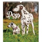 Největší obrázek výrobku kalendář Kalendář nástěnný 2017 - Psi autor neuveden Největší obrázek výrobku kalendář Kalendář nástěnný 2017 - Psi autor neuveden