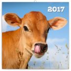 Největší obrázek výrobku kalendář Kalendář poznámkový 2017 - Telátka autor neuveden Největší obrázek výrobku kalendář Kalendář poznámkový 2017 - Telátka autor neuveden