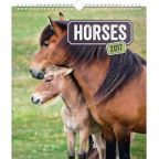 Největší obrázek výrobku kalendář Kalendář nástěnný 2017 - Koně - prodloužená verze autor neuveden Největší obrázek výrobku kalendář Kalendář nástěnný 2017 - Koně - prodloužená verze autor neuveden