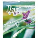 Nejv�t�� obr�zek v�robku kalend�� Kalend�� n�st�nn� 2017 - Rann� rosa autor neuveden