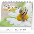 Největší obrázek výrobku kalendář Kalendář stolní 2017 - Kopretiny s citáty autor neuveden Největší obrázek výrobku kalendář Kalendář stolní 2017 - Kopretiny s citáty autor neuveden