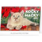 Největší obrázek výrobku kalendář Kalendář stolní 2017 - Kočky CZ/SK autor neuveden Největší obrázek výrobku kalendář Kalendář stolní 2017 - Kočky CZ/SK autor neuveden
