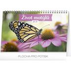 Největší obrázek výrobku kalendář Kalendář stolní 2017 - Život motýlů autor neuveden Největší obrázek výrobku kalendář Kalendář stolní 2017 - Život motýlů autor neuveden