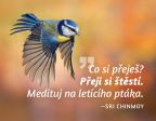 Nejv�t�� obr�zek v�robku kniha Magnet na lednici - Co si p�eje�? P�eji si �t�st�. Medituj na let�c�ho pt�ka. Chinmoy Sri