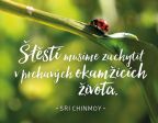 Nejv�t�� obr�zek v�robku kniha Magnet na lednici - �t�st� mus�me zachytit v prchav�ch okam�ic�ch �ivota Chinmoy Sri