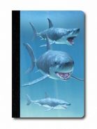 Nejv�t�� obr�zek v�robku kniha Z�pisn�k - ڞaska - �raloci autor neuveden