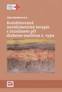 Nejv�t�� obr�zek v�robku Kombinovan� antidiabetick� terapie s inzulinem p�i diabetes mellitus 2. typu Adam�kova� Alena