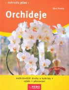 Nejv�t�� obr�zek v�robku Orchideje - Zahrada plus Pinske J�rn