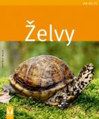 Největší obrázek výrobku Želvy - Jak na to Wilke Hartmut Největší obrázek výrobku Želvy - Jak na to Wilke Hartmut