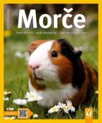 Nejv�t�� obr�zek v�robku Mor�e - Spr�vn� p��e, rady odborn�ka... Behrendov� Katrin