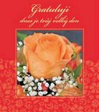 Nejv�t�� obr�zek v�robku kniha Gratuluji dnes je tv�j velk� den autor neuveden