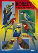 Nejv�t�� obr�zek v�robku Rosely a jejich mutace Pringle Russell