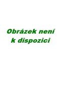 Největší obrázek výrobku Náhodná procházka po Wall Street Malkiel Burton G Největší obrázek výrobku Náhodná procházka po Wall Street Malkiel Burton G