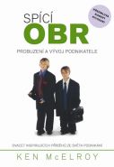 Nejv�t�� obr�zek v�robku Sp�c� obr - Probuzen� a v�voj podnikatele McElroy Ken