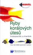 Nejv�t�� obr�zek v�robku Ryby kor�lov�ch �tes� kolektiv autor�