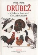 Největší obrázek výrobku Drůbež Vašák Pavel Největší obrázek výrobku Drůbež Vašák Pavel