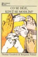 Největší obrázek výrobku Co se děje, když se modlím? Goodwin T., Palmer B., Největší obrázek výrobku Co se děje, když se modlím? Goodwin T., Palmer B.,