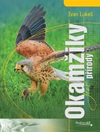 Nejv�t�� obr�zek v�robku kniha Okam�iky �iv� p��rody Luke� Ivan