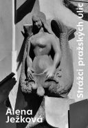 Nejv�t�� obr�zek v�robku Str�ci pra�sk�ch ulic Je�kov� Alena