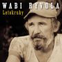 V�ce informac� o v�robku Wabi Ryvola - Letokruhy CD