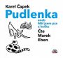 V�ce informac� o v�robku Pudlenka aneb M�l jsem psa a ko�ku - CD (�te Marek Eben)