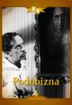 V�ce informac� o v�robku Podobizna - DVD digipack