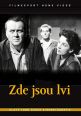 V�ce informac� o v�robku Zde jsou lvi - DVD box
