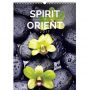 V�ce informac� o v�robku Kalend�� n�st�nn� 2017 - Spirit of Orient