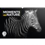 V�ce informac� o v�robku Kalend�� n�st�nn� 2017 - Moments of the Nature