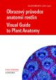 V�ce informac� o v�robku Obrazov� pr�vodce anatomi� rostlin / Visual Guide to Plant Anatomy