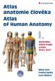 V�ce informac� o v�robku Atlas anatomie �lov�ka 1. - Kon�etiny, st�na trupu