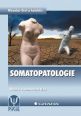 V�ce informac� o Somatopatologie - Nauka o nemocech t�la
