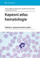 V�ce informac� o v�robku Kapesn� atlas hematologie