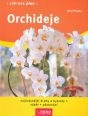 V�ce informac� o v�robku Orchideje - Zahrada plus