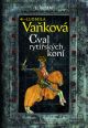 V�ce informac� o v�robku Kronika Karla IV. - Cval ryt��sk�ch kon�