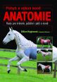 V�ce informac� o v�robku Pohyb a v�kon kon� - Anatomie