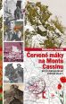 V�ce informac� o v�robku �erven� m�ky na Monte Cassinu - Byl to Verdun druh� sv�tov� v�lky?)