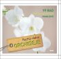 V�ce informac� o v�robku Orchideje - Rychl� r�dce: 99 rad pro rychl� �e�en� probl�m�