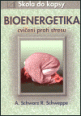 V�ce informac� o Bioenergetika - cvi�en� proti stresu - �kola do kapsy